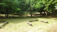 /album/14-juin-2026-mialet/l-161-a-2-jpg/